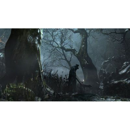 Bloodborne Hits Edition PS4 Game