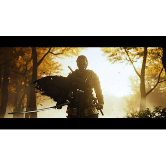 Ghost of Tsushima Director's Cut Edition PS4 Game