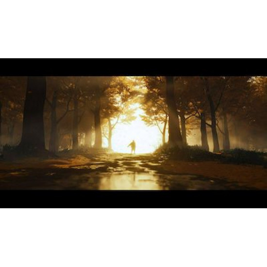 Ghost of Tsushima Director's Cut Edition PS4 Game