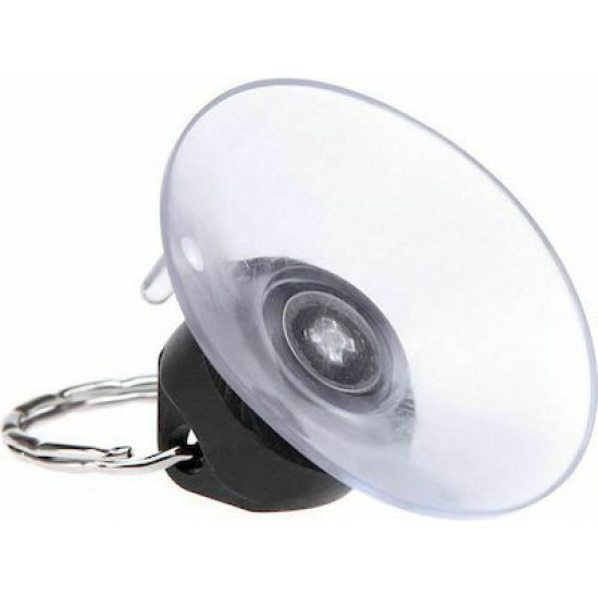 Bodycell Gold Plated Silicon iPhone 15 Plus Mint Green